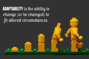 Adaptability